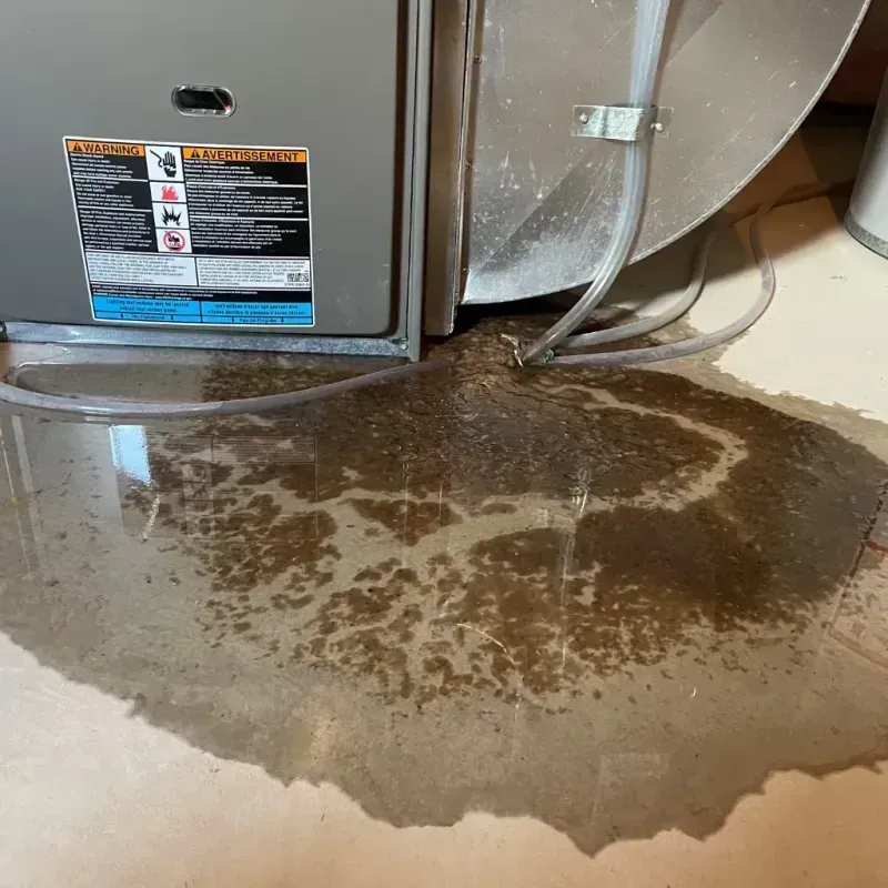 Appliance Leak Cleanup in Saint Stephen, SC